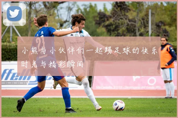 小熊与小伙伴们一起踢足球的快乐时光与精彩瞬间