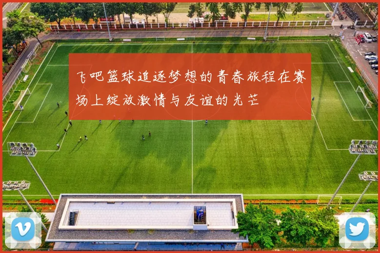 飞吧篮球追逐梦想的青春旅程在赛场上绽放激情与友谊的光芒