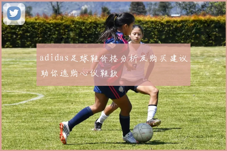 adidas足球鞋价格分析及购买建议助你选购心仪鞋款