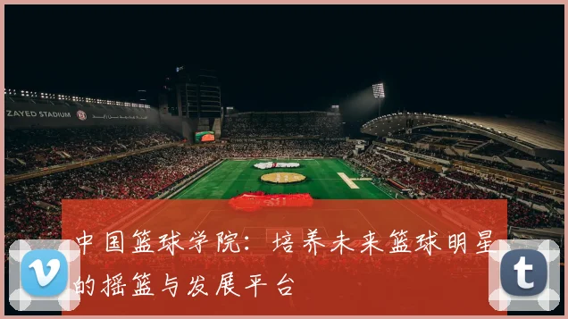 中国篮球学院：培养未来篮球明星的摇篮与发展平台