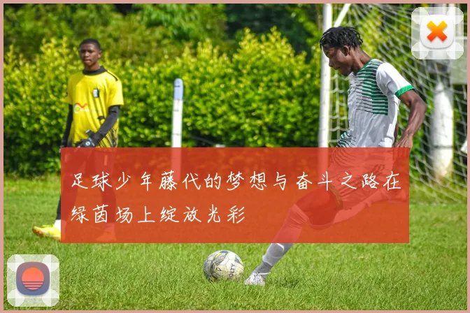 足球少年藤代的梦想与奋斗之路在绿茵场上绽放光彩